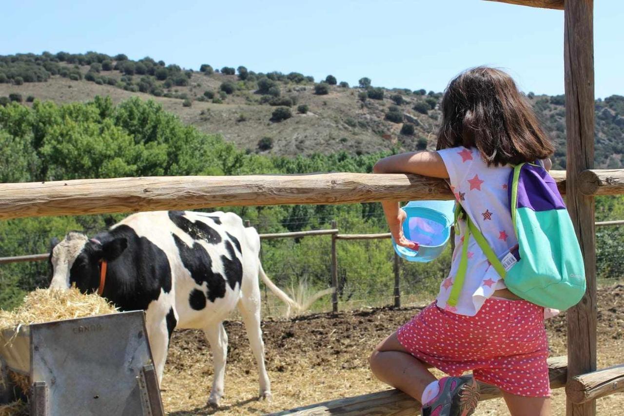 Casa El Tio Carrascon Alojamiento Rural Cerveruela Exteriér fotografie